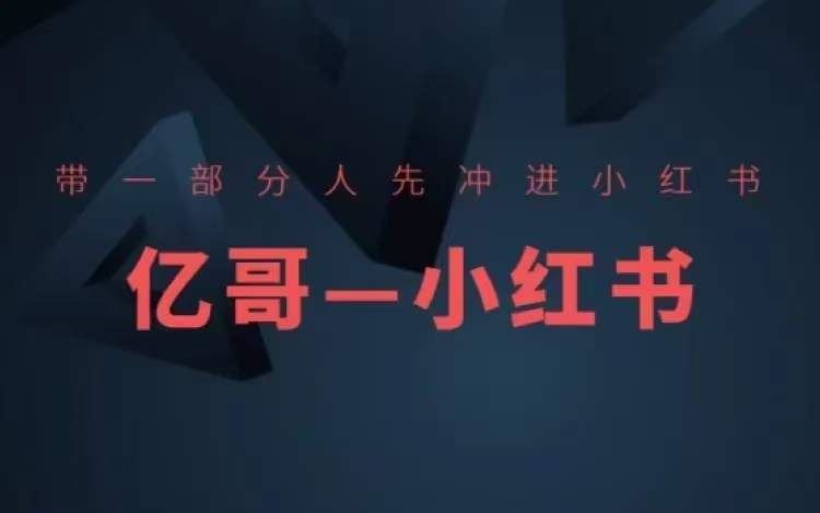 ​​带一部分人先冲进小红书，小红书开店、选品、爆款裂变-墨韵博客