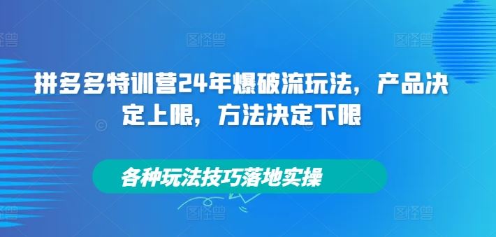 拼多多特训营24年爆破流玩法，产品决定上限，方法决定下限，各种玩法技巧落地实操-墨韵博客