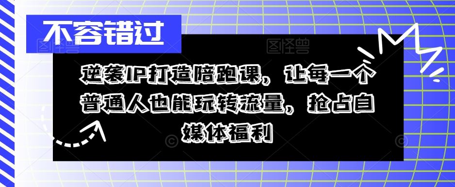 逆袭IP打造陪跑课，让每一个普通人也能玩转流量，抢占自媒体福利-墨韵博客