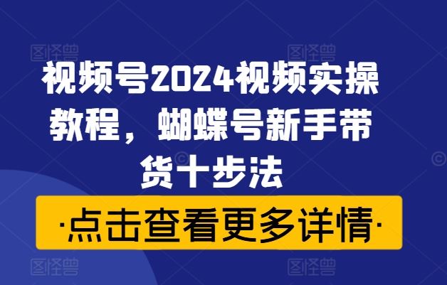 视频号2024视频实操教程，蝴蝶号新手带货十步法-墨韵博客