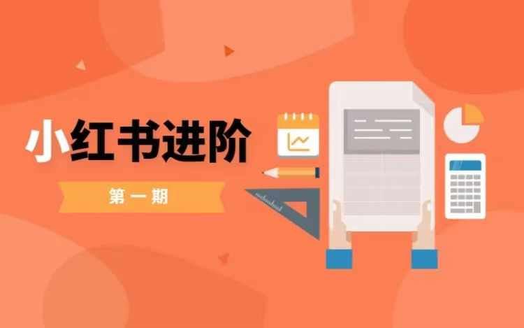 小红书进阶篇，零基础小白实战课，普通人变现的课程-墨韵博客