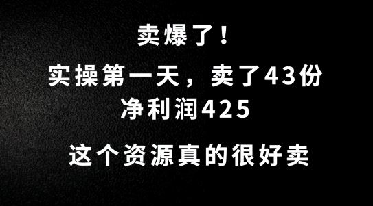 这个资源，需求很大，实操第一天卖了43份，净利润425【揭秘】-墨韵博客