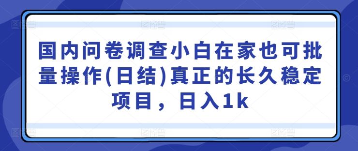 国内问卷调查小白在家也可批量操作(日结)真正的长久稳定项目，日入1k【揭秘】-墨韵博客