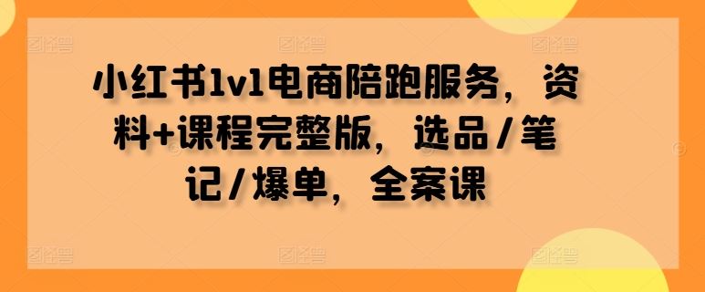 小红书1v1电商陪跑服务，资料+课程完整版，选品/笔记/爆单，全案课-墨韵博客