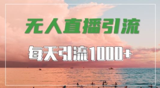 抖音快手视频号全平台通用，无人直播引流法，超暴力引流1000+高质量精准创业粉【揭秘】-墨韵博客