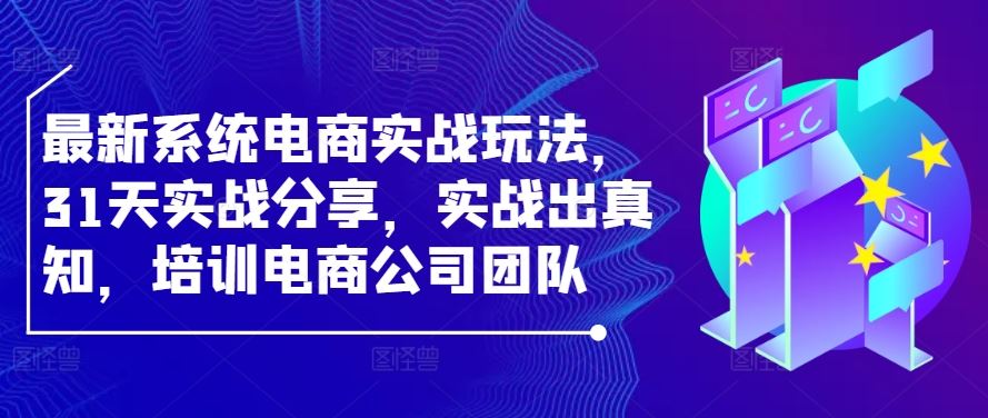 最新系统电商实战玩法，31天实战分享，实战出真知，培训电商公司团队-墨韵博客