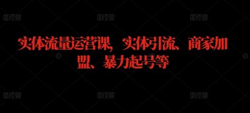 实体流量运营课，实体引流、商家加盟、暴力起号等-墨韵博客