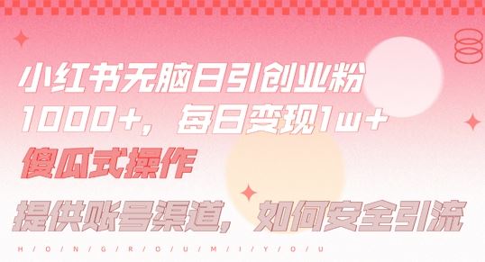小红书无脑每日引流创业粉500+，小白每天只花半小时，躺赚长尾收益【揭秘】-墨韵博客