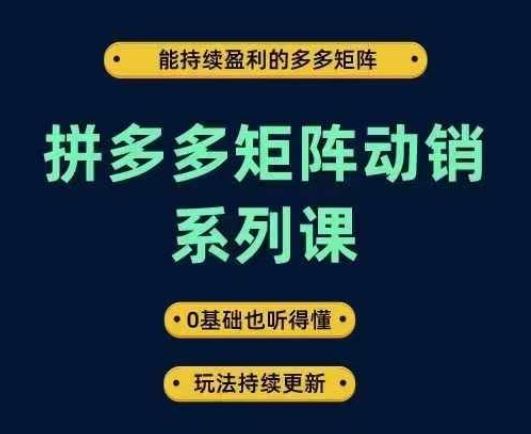 拼多多矩阵动销系列课，能持续盈利的多多矩阵，0基础也听得懂，玩法持续更新-墨韵博客