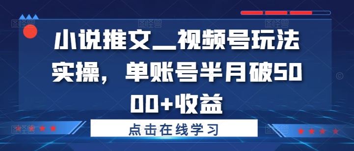 小说推文—视频号玩法实操，单账号半月破5000+收益-墨韵博客