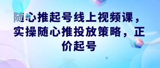 随心推起号线上视频课，实操随心推投放策略，正价起号-墨韵博客