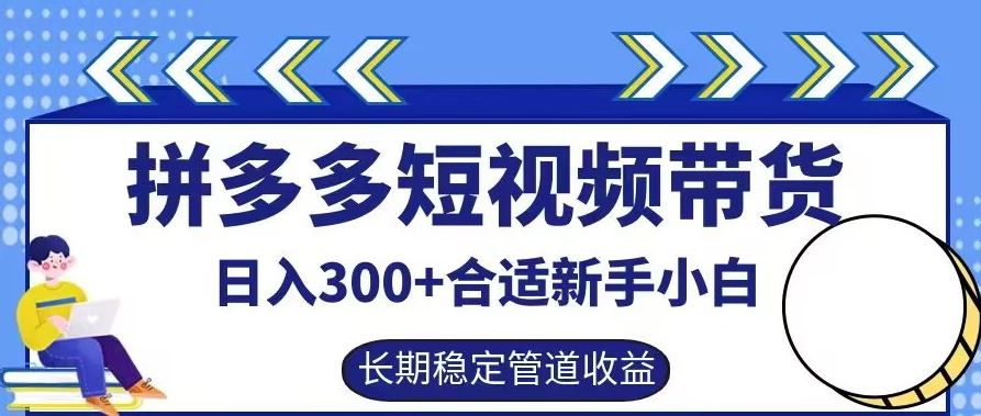 拼多多短视频带货日入300+有长期稳定被动收益，合适新手小白【揭秘】-墨韵博客