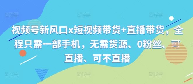 视频号新风口x短视频带货+直播带货，全程只需一部手机，无需货源、0粉丝、可直播、可不直播-墨韵博客