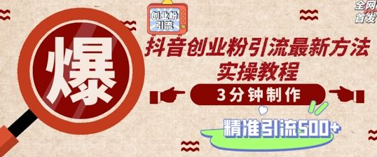 轻松制作创业类视频，一天被动加精准创业粉500+【揭秘】-墨韵博客