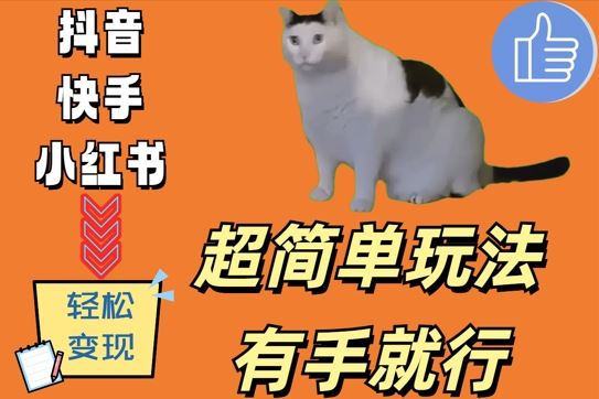 超简单玩法，有手就行，靠猫咪视频日入500+【揭秘】-墨韵博客