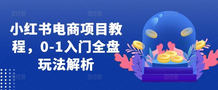 小红书电商项目教程，0-1入门全盘玩法解析-墨韵博客