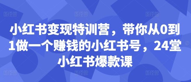 小红书变现特训营，带你从0到1做一个赚钱的小红书号，24堂小红书爆款课-墨韵博客