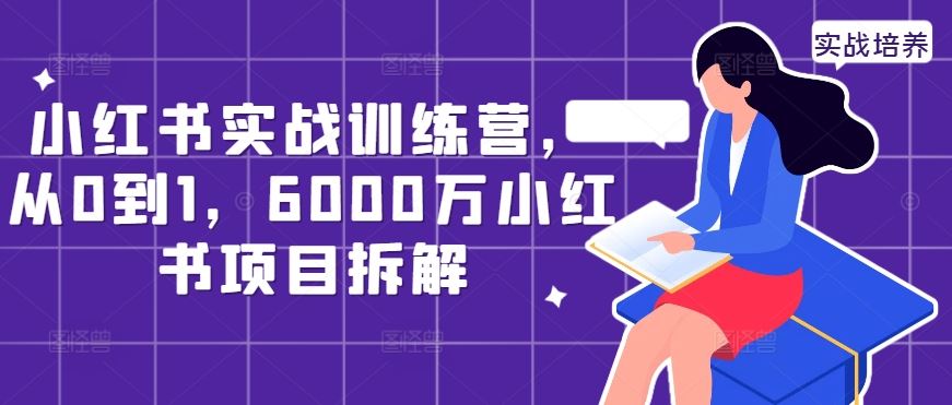 小红书实战训练营，从0到1，6000万小红书项目拆解-墨韵博客