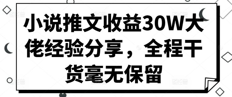 小说推文收益30W大佬经验分享，全程干货毫无保留-墨韵博客