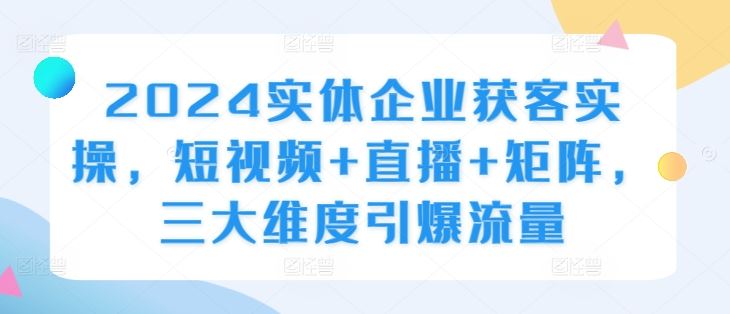 2024实体企业获客实操，短视频+直播+矩阵，三大维度引爆流量-墨韵博客