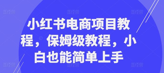 小红书电商项目教程，保姆级教程，小白也能简单上手-墨韵博客