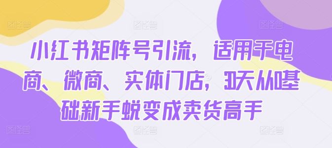 小红书矩阵号引流，适用于电商、微商、实体门店，30天从0基础新手蜕变成卖货高手-墨韵博客