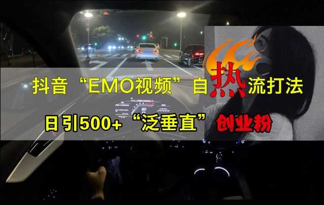 抖音EMO视频自热打法，日引500+“泛垂直”创业粉-墨韵博客