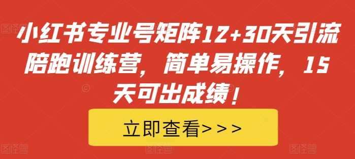 小红书专业号矩阵12+30天引流陪跑训练营，简单易操作，15天可出成绩!-墨韵博客
