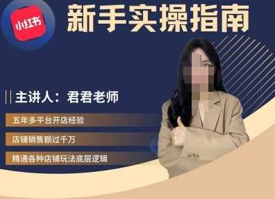 君君-小红书电商从入门到精通，新手实操指南-墨韵博客