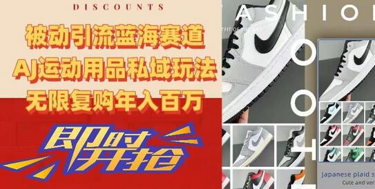 被动引流蓝海赛道，AJ运动用品私域玩法，无限复购年入百万-墨韵博客