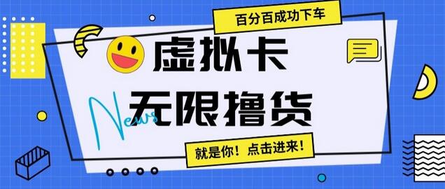 虚拟卡无限撸货，百分百成功下车-墨韵博客