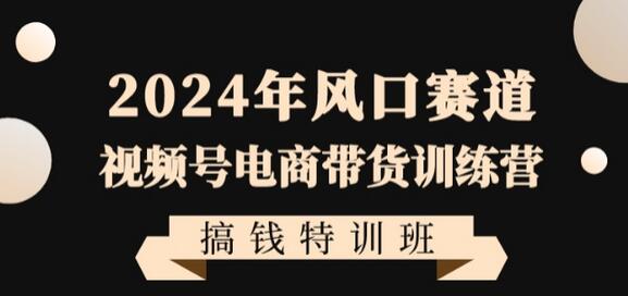 2024年风口赛道视频号电商带货训练营搞钱特训班，带领大家快速入局自媒体电商带货-墨韵博客