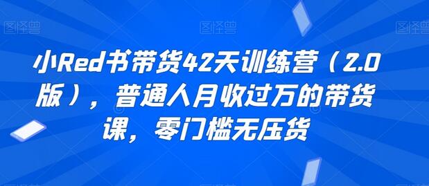 小Red书带货42天训练营（2.0版），普通人月收过万的带货课，零门槛无压货-墨韵博客
