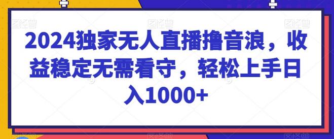 2024独家无人直播撸音浪，收益稳定无需看守，轻松上手日入1000+-墨韵博客