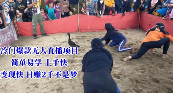 冷门爆款无人直播项目，简单易学上手快，变现快日赚2千不是梦-墨韵博客
