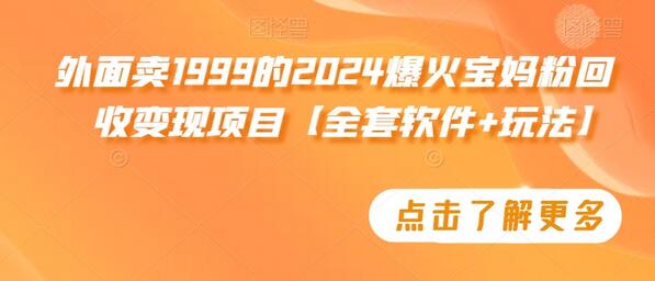 外面卖1999的2024爆火宝妈粉回收变现项目【全套软件+玩法】-墨韵博客
