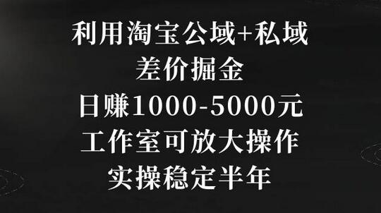 利用淘宝公域+私域差价掘金，日赚1000-5000元，工作室可放大操作，实操稳定半年-墨韵博客