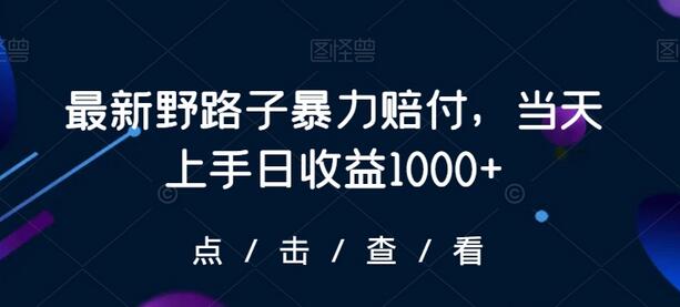 最新野路子暴力赔付，当天上手日收益1000+-墨韵博客
