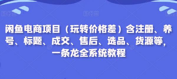 闲鱼电商项目（玩转价格差）含注册、养号、标题、成交、售后、选品、货源等，一条龙全系统教程-墨韵博客