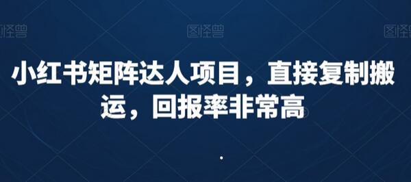 小红书矩阵达人项目，直接复制搬运，回报率非常高-墨韵博客