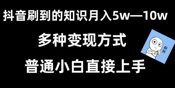 抖音刷到的知识，每天只需2小时，日入2000+，暴力变现，普通小白直接上手-墨韵博客