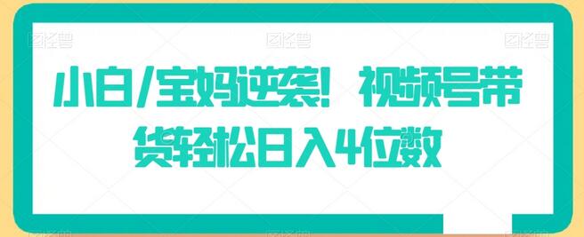 小白/宝妈逆袭！视频号带货轻松日入4位数-墨韵博客