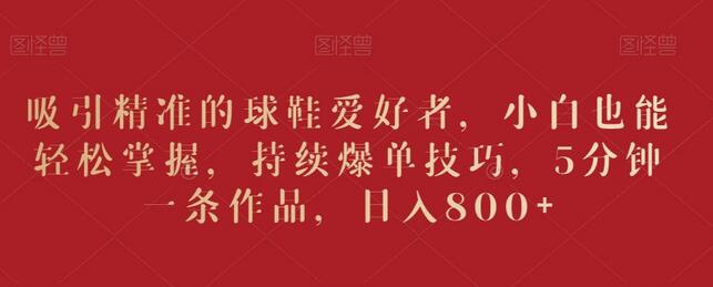 吸引精准的球鞋爱好者，小白也能轻松掌握，持续爆单技巧，5分钟一条作品，日入800+-墨韵博客