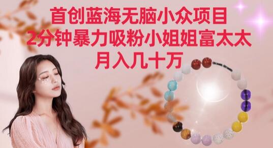 首创蓝海无脑小众项目，2分钟暴力吸粉小姐姐富太太，月入几十万-墨韵博客