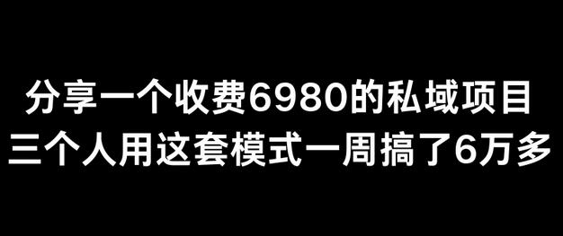 分享一个外面卖6980的私域项目三个人用这套模式一周搞了6万多-墨韵博客