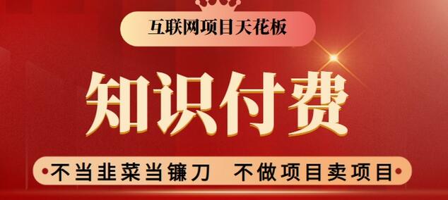2024互联网项目天花板，新手小白也可以通过知识付费月入10W，实现财富自由-墨韵博客