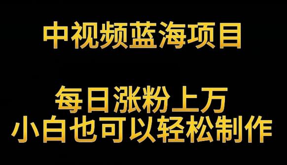 中视频蓝海项目，解读英雄人物生平，每日涨粉上万，小白也可以轻松制作，月入过万不是梦-墨韵博客