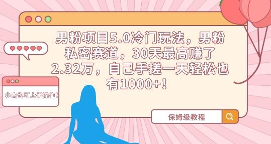 男粉项目5.0冷门玩法，男粉私密赛道，30天最高赚了2.32万，自己手搓一天轻松也有1000+-墨韵博客