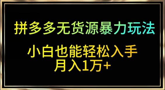 拼多多无货源暴力玩法，全程干货，小白也能轻松入手，月入1万+-墨韵博客