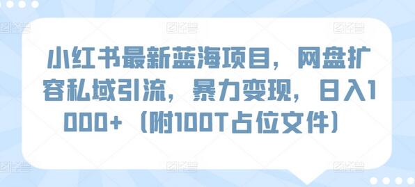 小红书最新蓝海项目，网盘扩容私域引流，暴力变现，日入1000+（附100T占位文件）-墨韵博客